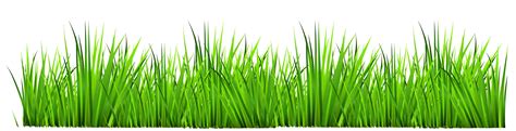 Damuhan damo PNG Clipart .